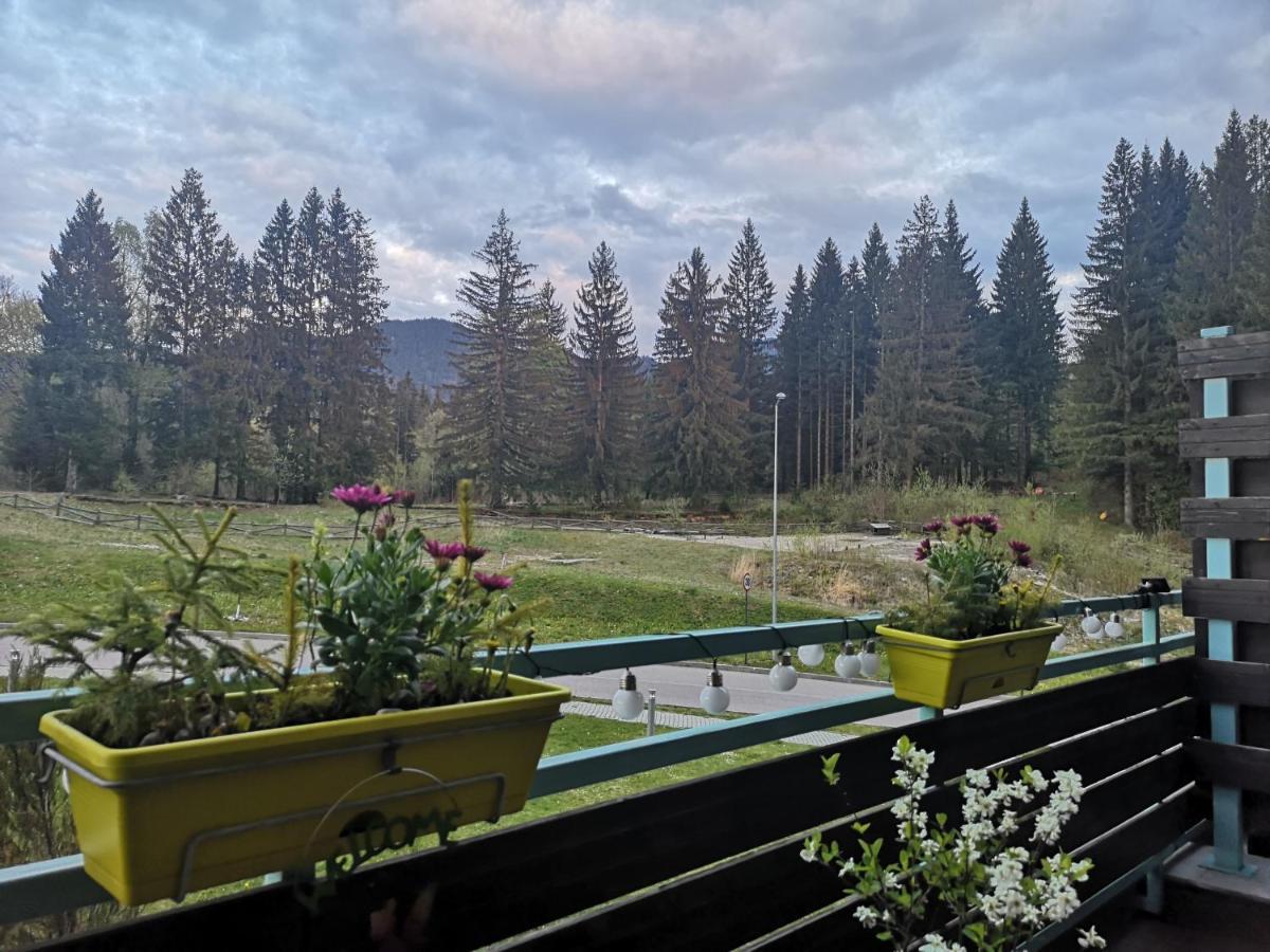 The Evergreen Nest - Silver Mountain Poiana Brasov Exterior foto
