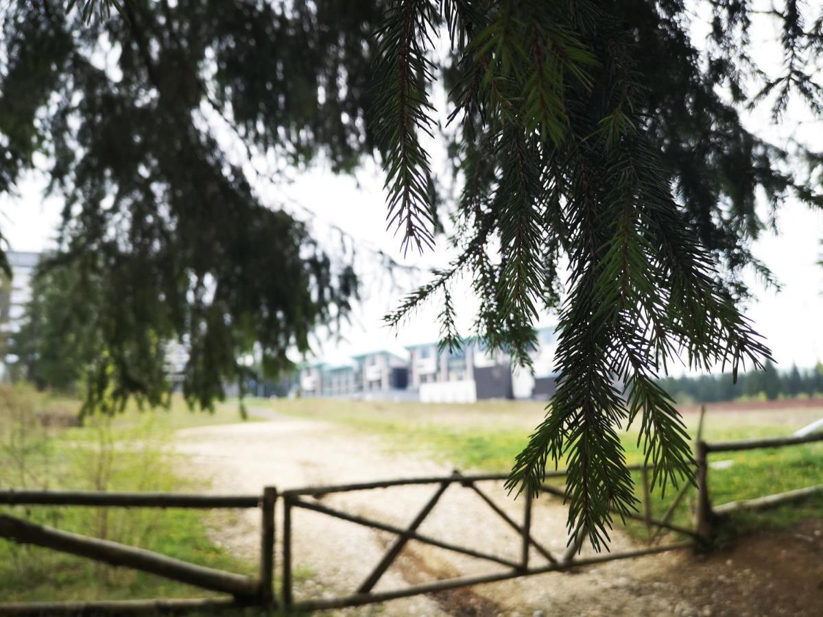 The Evergreen Nest - Silver Mountain Poiana Brasov Exterior foto