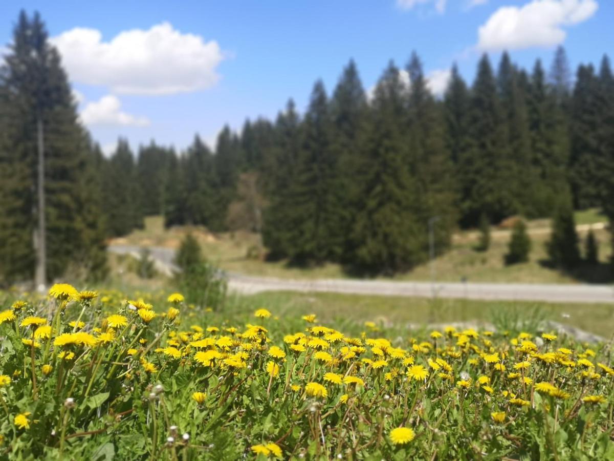 The Evergreen Nest - Silver Mountain Poiana Brasov Exterior foto