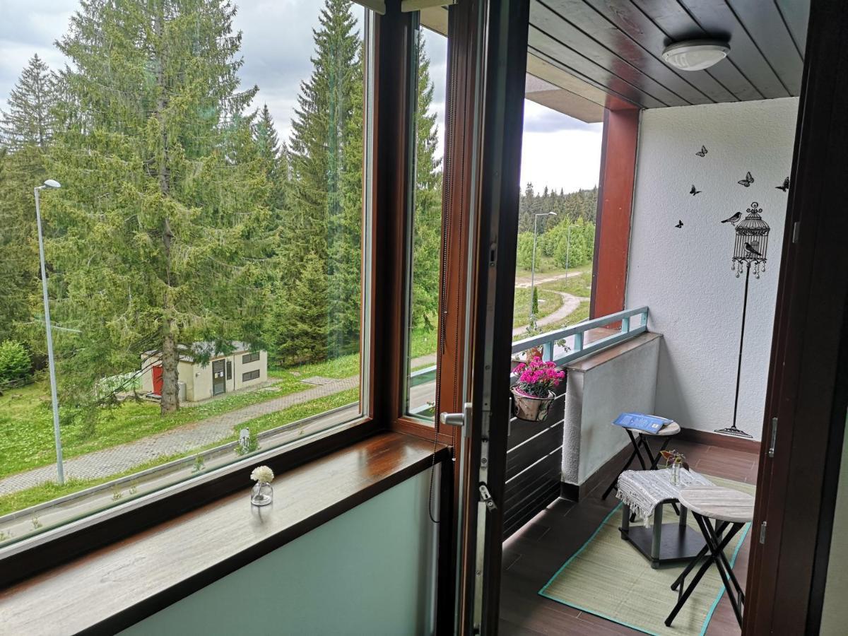The Evergreen Nest - Silver Mountain Poiana Brasov Exterior foto