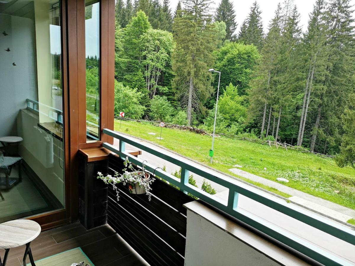 The Evergreen Nest - Silver Mountain Poiana Brasov Exterior foto