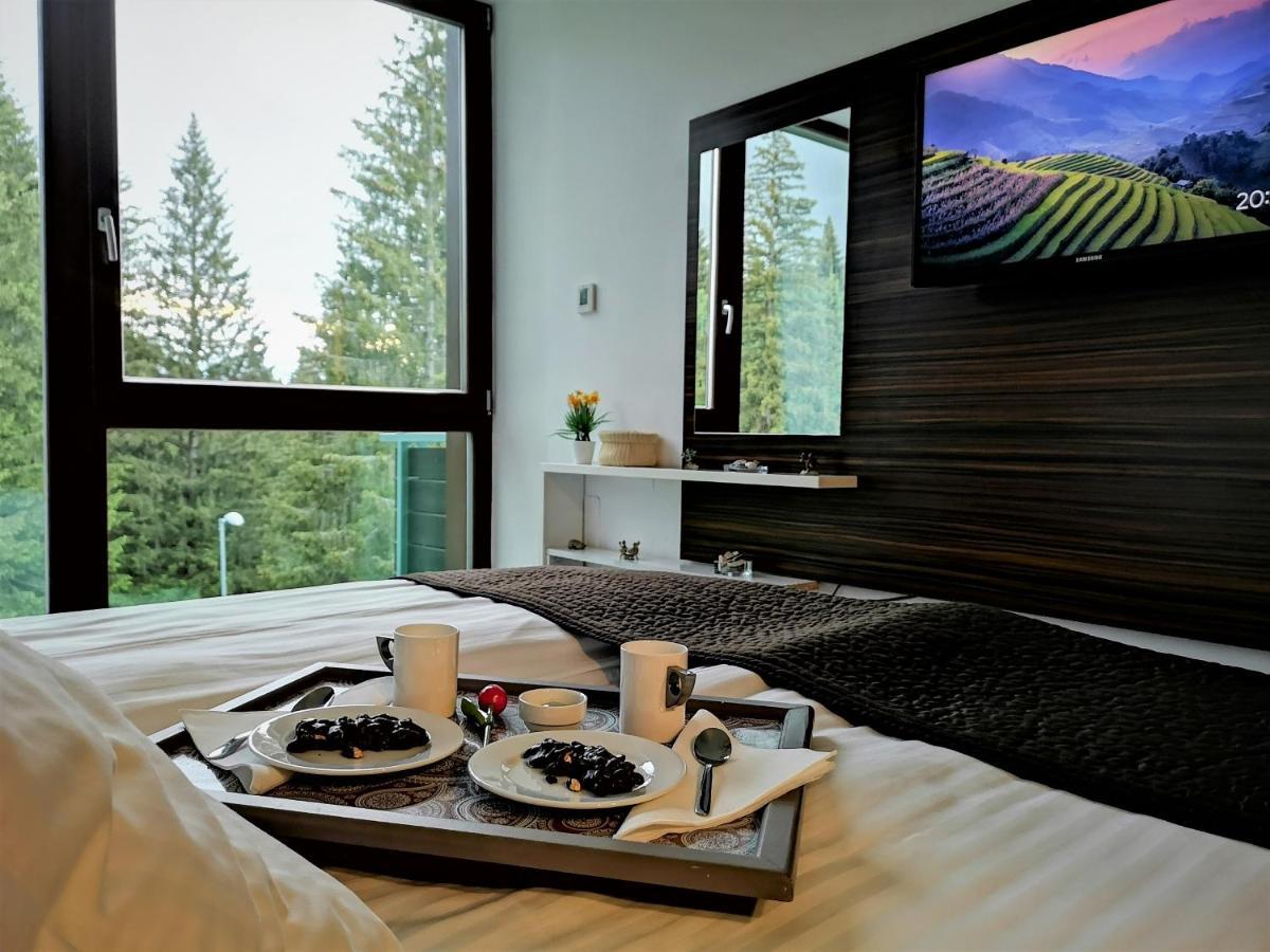 The Evergreen Nest - Silver Mountain Poiana Brasov Exterior foto