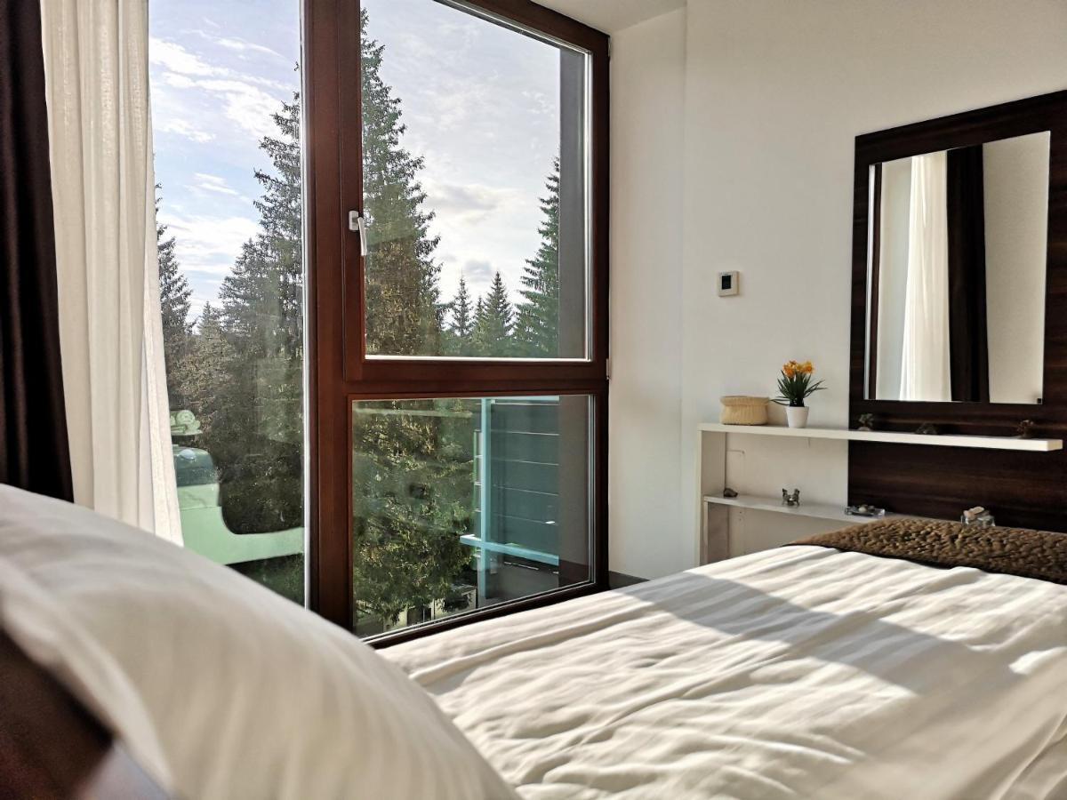 The Evergreen Nest - Silver Mountain Poiana Brasov Exterior foto