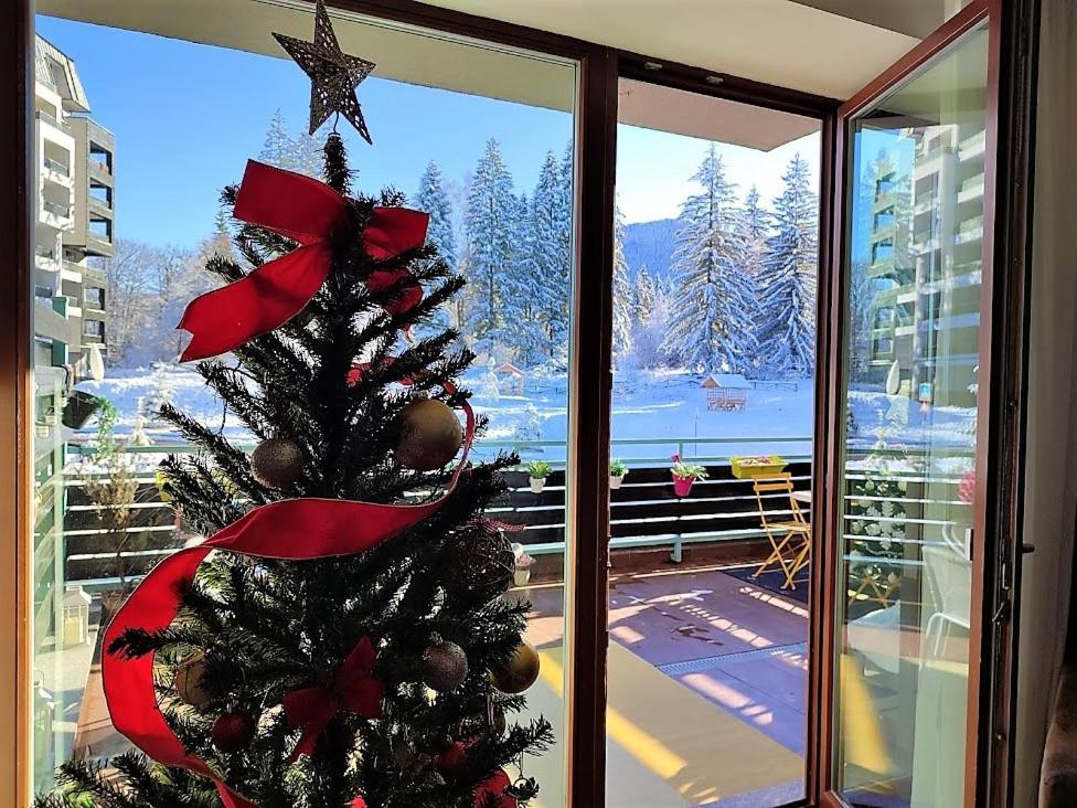 The Evergreen Nest - Silver Mountain Poiana Brasov Exterior foto