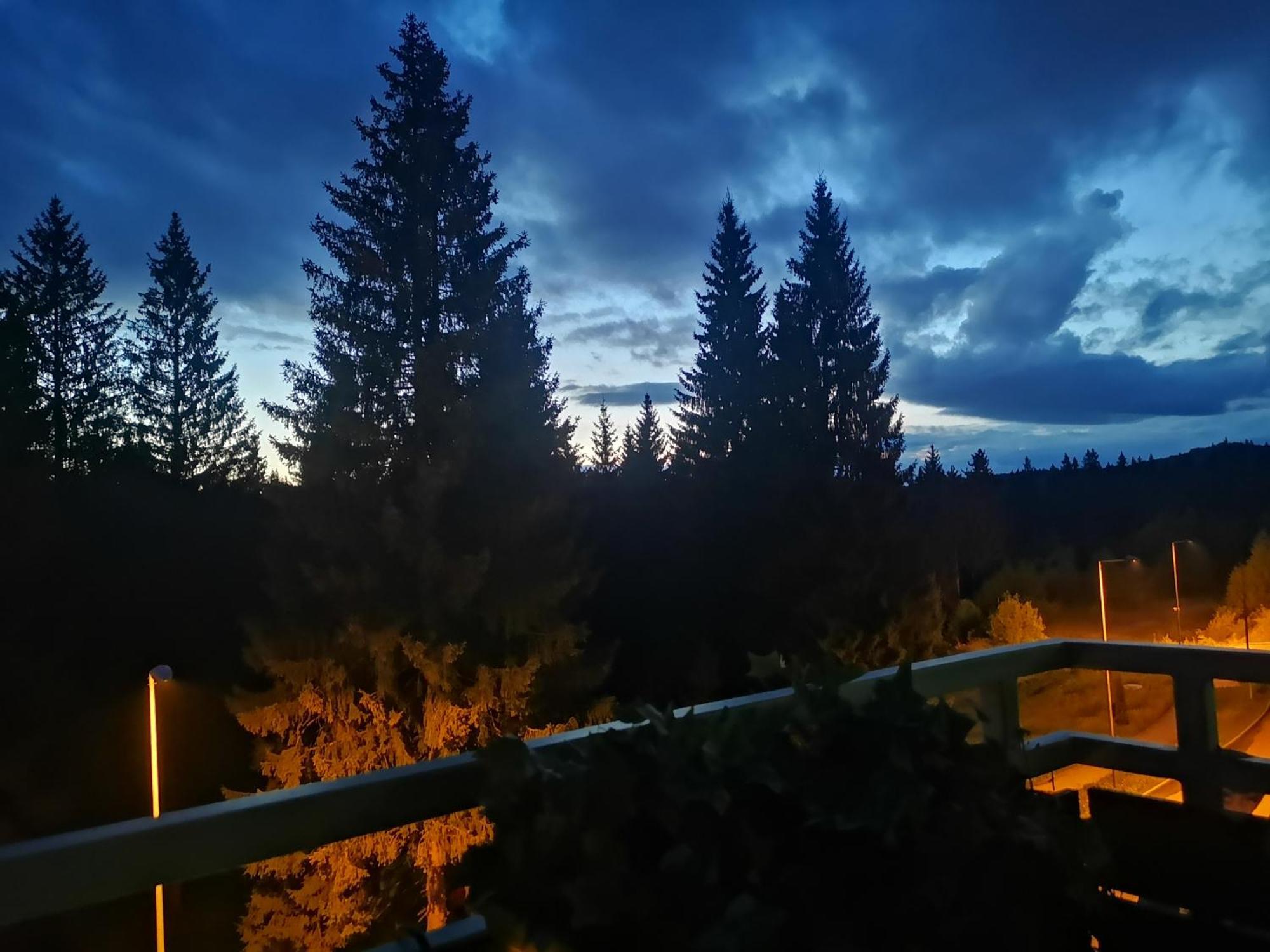 The Evergreen Nest - Silver Mountain Poiana Brasov Habitación foto